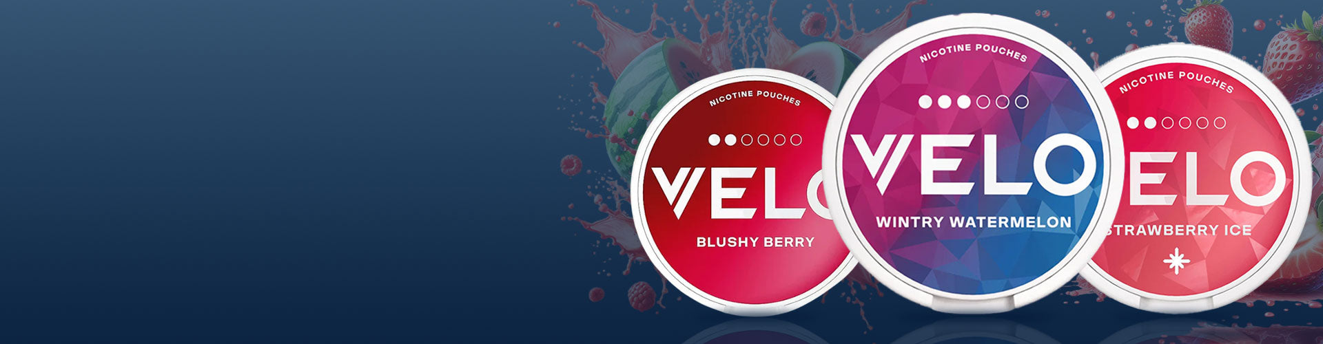 Power Your Moment with VELO